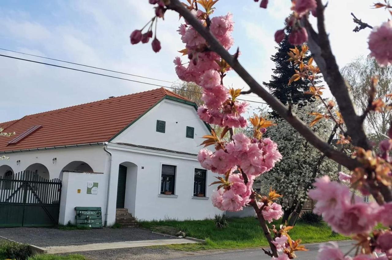Villa Fuszeres Porta Mihalyfa Exterior foto